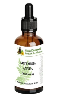 VITALIS-KRÄUTERWELT Artemisia Annua (Einjähriger Beifuß) DMSO Extrakt 50ml - Reiner Pflanzenauszug