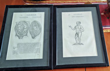 2 RARE 1664 Woodcut prints Les Oeuvres d'Ambroise Paré Medical Oddities ORIGINAL
