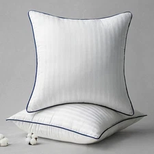 20x20 Pillow Inserts Set of 2, Throw Pillow Insert with Striped 100% Cotton C...