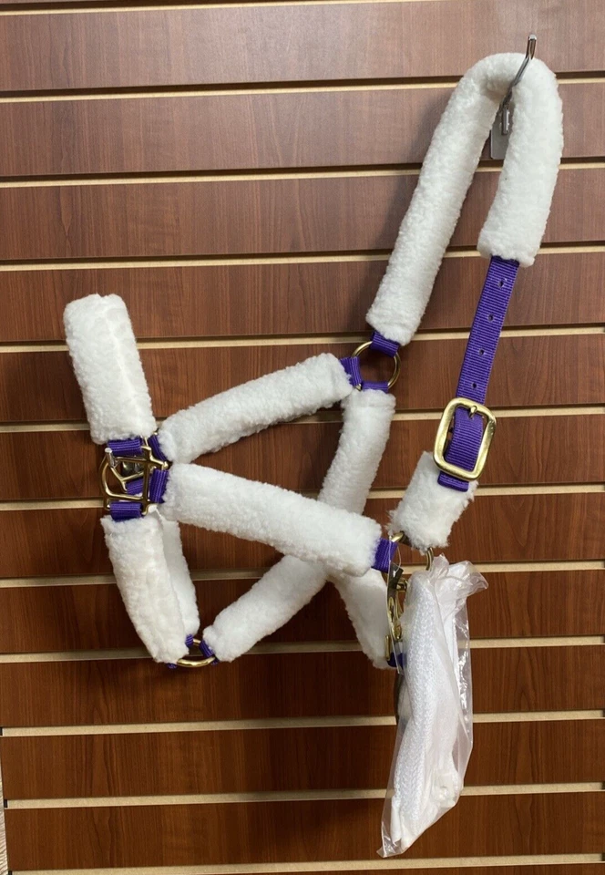 CENTAUR Shipping Halter Size Full - Image 2 of 4