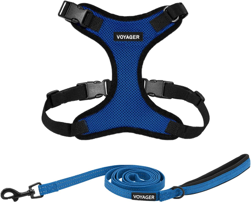 voyager leash