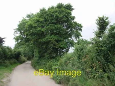 Photo 6x4 Lane near Pengelly Barton Trenwheal  c2006