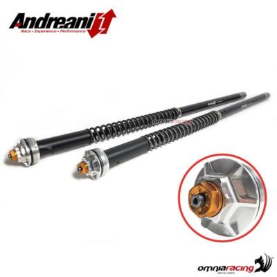 Andreani cartucce forcella Misano Evo per Yamaha MT09 / TRACER 900 2013>2019