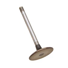 TRW Engine Intake Valve 1132