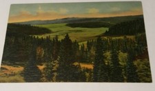 1940's WYOMING postcard Meadows & woods at Big Horn Mountain showing Highway 16