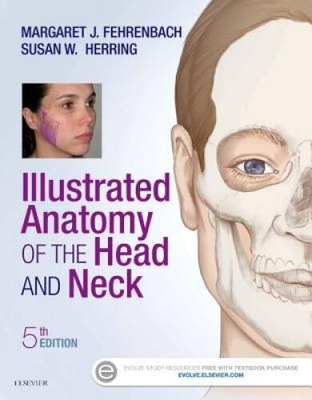 #ad Illustrated Anatomy of the Head and Neck 5e Paperback VERY GOOD $8.02