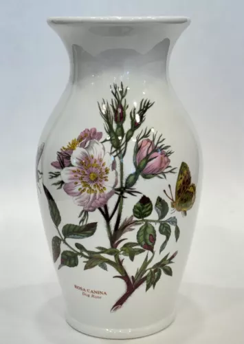 Vtg Portmeirion Garden Botanic Dog Rose 8” VASE Rosa Canina Butterfly Bee Flora