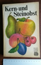 Owoce pestkowe Owoce pestkowe Pszczoła Pszczelarz Jabłko Gruszka Śliwka Pigwa Orzech włoski Wiśnia Drzewo