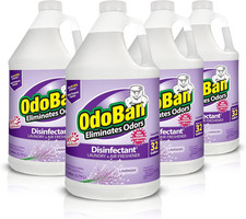 Disinfectant Concentrate and Odor Eliminator, Made in the USA, Lavender Scent, 4