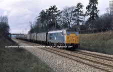 RAILWAY PHOTOGRAPH CLASS 31 31256 (Cat No TTR10159) Near Newbury on 12.36 Bristo