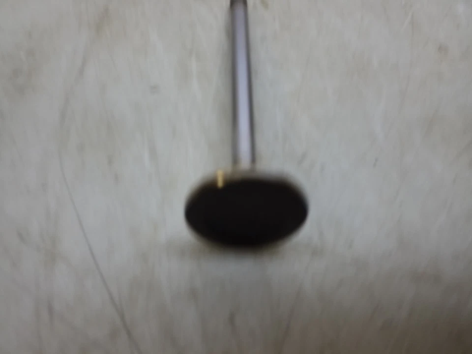 Válvula de escape de potencia sellada V-4345 cantidad 1 válvula de escape V-4345 potencia sellada Foto 3 de 4