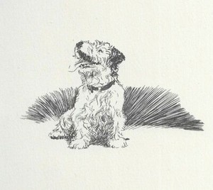 Sealyham Terrier - CUSTOM MATTED - Vintage Dog Art Print - 1932 D. Thorne