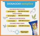 Foto 3 di 6