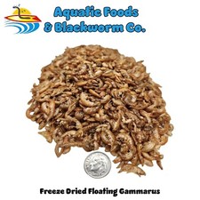 Gammarus--Freeze-Dried, Great for smaller Tropicals and Marines