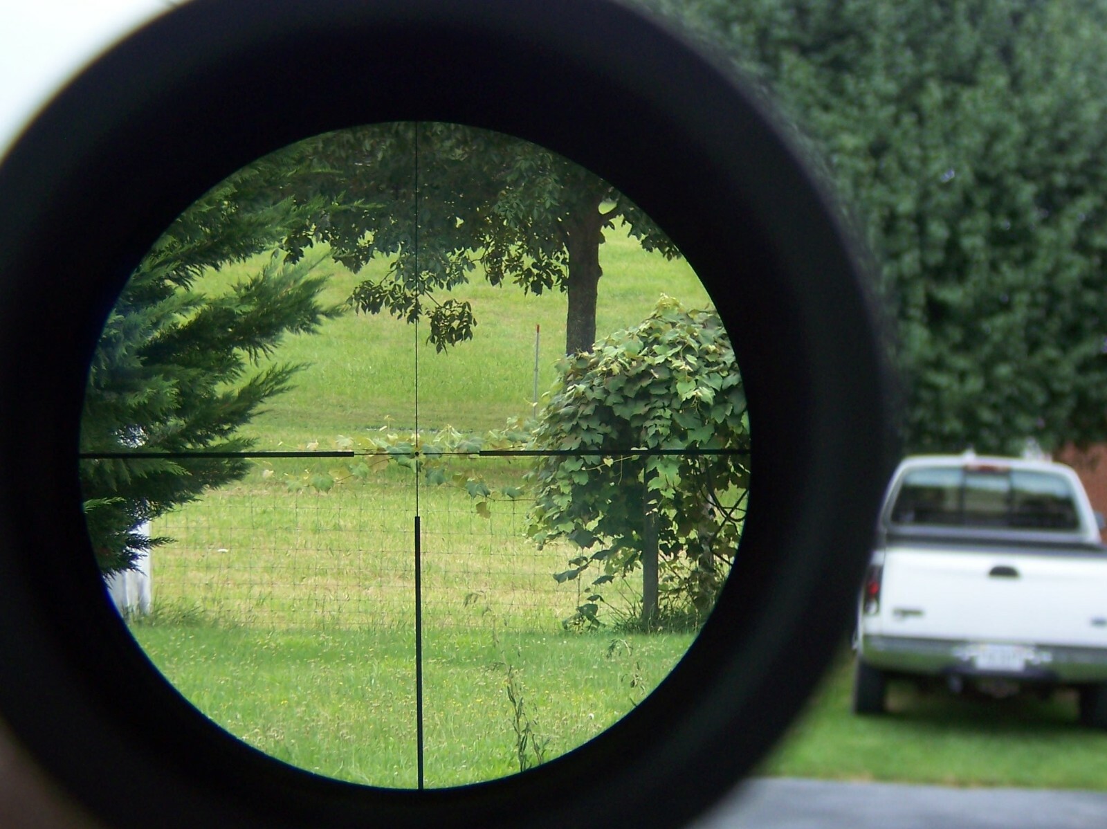 Minox ZE 5i 525x56 SF w/ Illuminated No.4 Reticle 66585 Riflescope Germany eBay