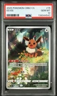 PSA 10 Pokemon TCG Chinese Horizon Gem Pack Vol2 Eevee CBB2C-01 15/15（26）