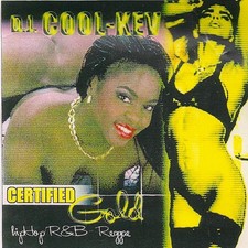DJ COOL KEV - REGGAE VOL  4 CERTIFIED GOLD - MIXTAPE MIX CD REGGAE DANCEHALL