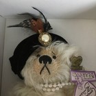 Foto 2 di 7