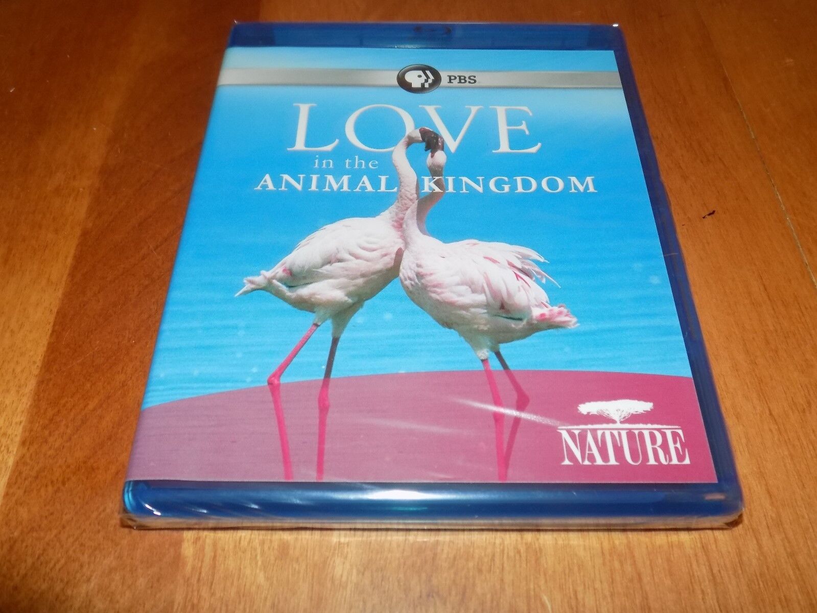 NATURE LOVE IN THE ANIMAL KINGDOM PBS Animals Wilds Mammals Birds BLU-RAY  NEW 841887020053 | eBay
