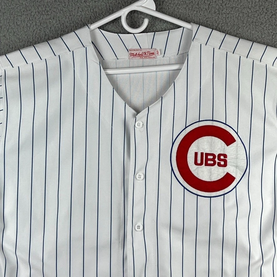 Camiseta para hombre Ernie Banks Chicago Cubs Mitchell & Ness 1969 talla 52 Foto 2 de 4
