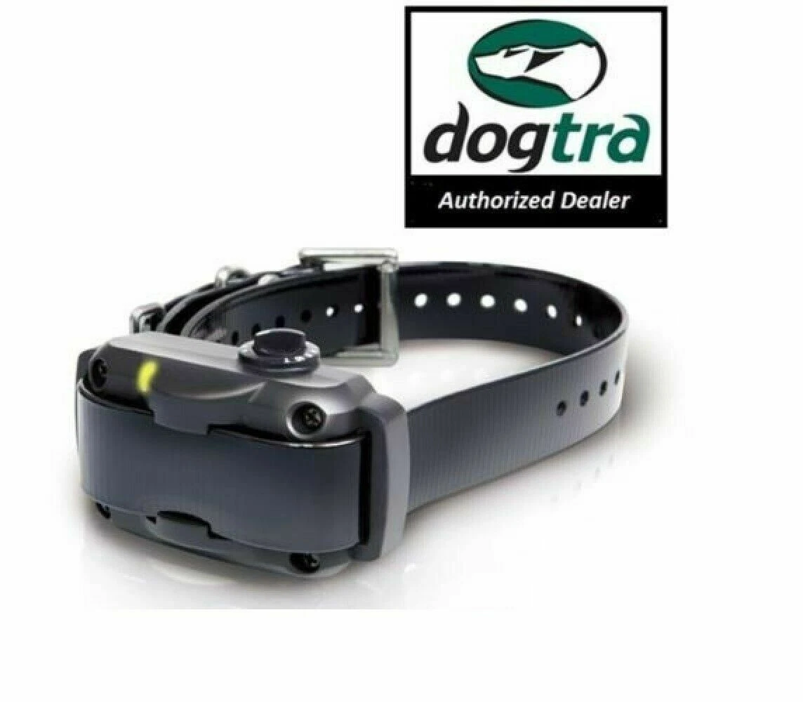 Ys600 dogtra 2025