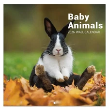 2026 Calendar - 2026 Wall Calendar, 12" x 24"(Open), 12 Month Baby Animal Cal...