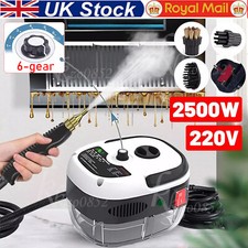 2500W Handheld Steam Cleaner High Temperature Pressurized Steam Cleaning Machine
