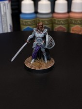 Male Elf Paladin Miniature Dungeons  Dragons DND Painted