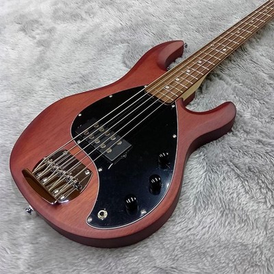Sterling by MUSIC MAN Electric Bass Ray5 Walnut Satin 5 String Bass Stingray