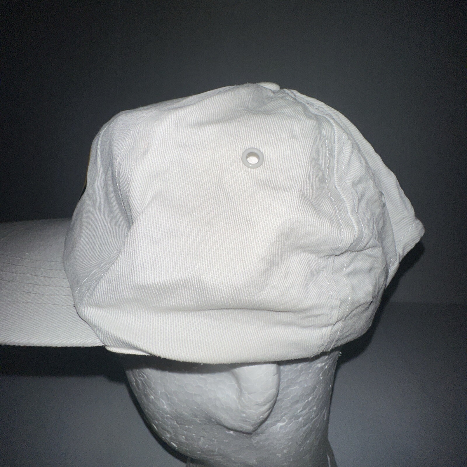 Commonwealth Development Bank Developing Australi… - image 5