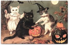3 Cats JOL Modern Halloween Postcard Standard...