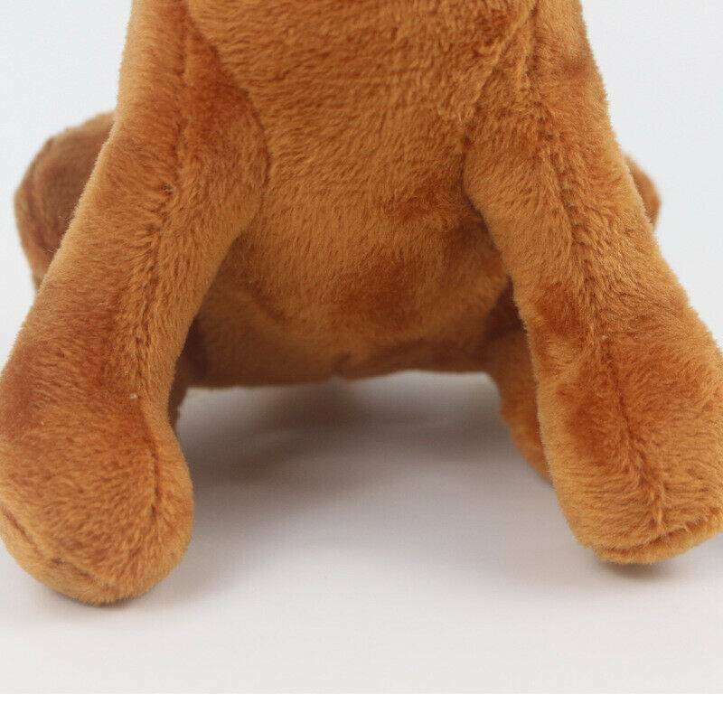 Picture 9 of 10