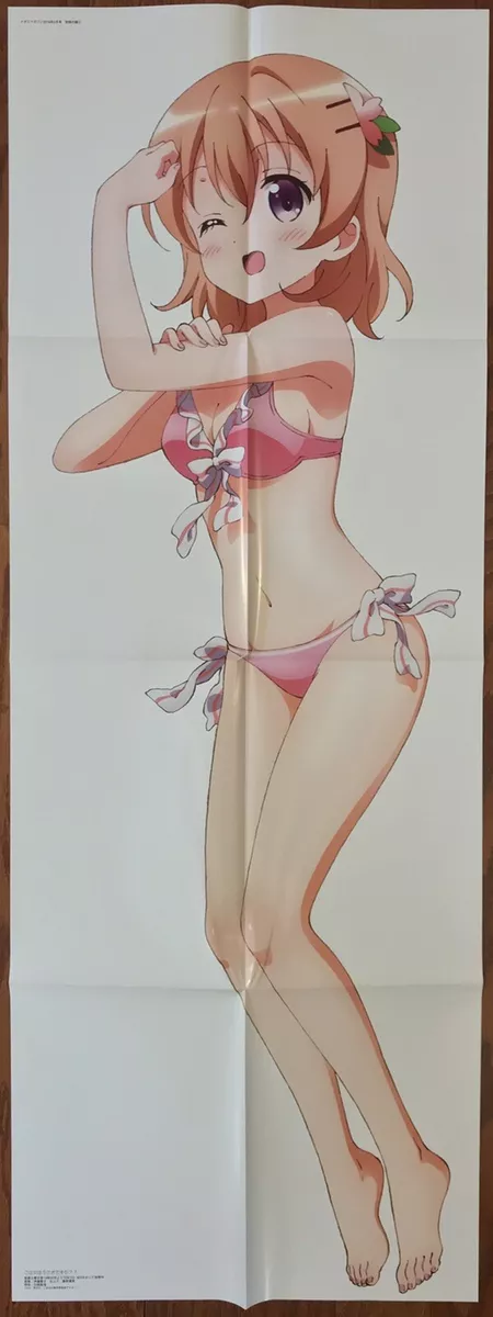 Double Sided Anime Swimsuit Poster: Is the Order a Rabbit Cocoa Strike the  Blood