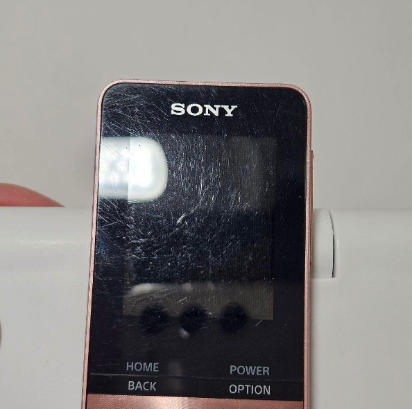 Sony NW-S315 Digital Walkman Used Japan | eBay