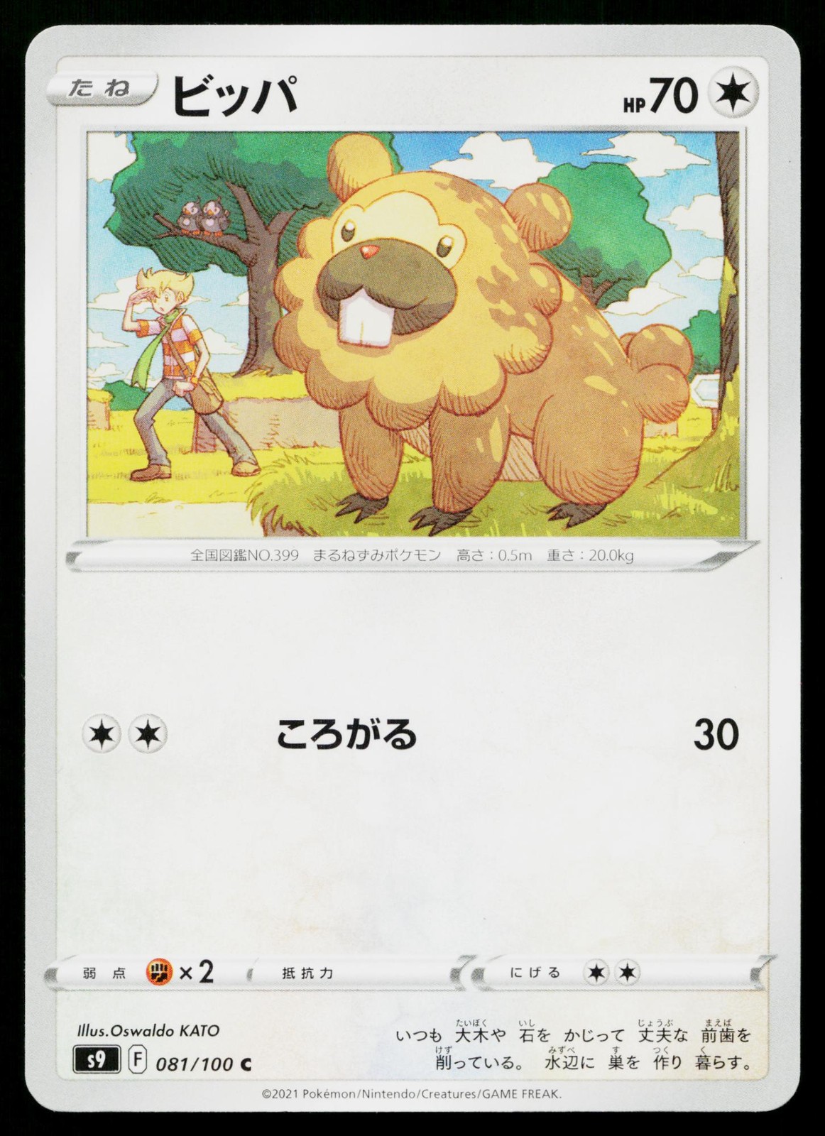 Bidoof 081/100 Common Star Birth Pokemon Japanese Lightly Played
