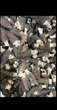 Dried Wild Morel Mushrooms 4oz 2026 CROP