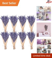 Natural Dried Flowers - 8 Bundles of 1200 Stems for Stunning Arrangements