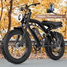 1500W Peak Electric Bike Bicycle Mountain bike 20'' Fat tire for Adults 48V 15Ah