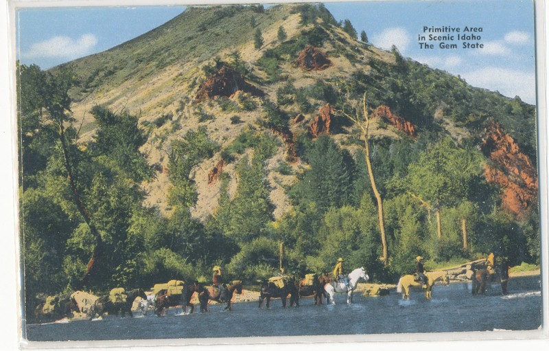 ID - PRIMITIVE AREA IN SCENIC IDAHO - The Gem State - postcard