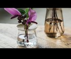 Bild 2 von 7