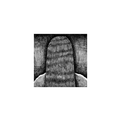 GRUMBLING FUR: FURRIER - CD *BRAND NEW*