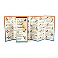 Sibley's Backyard Birds of Southern California
