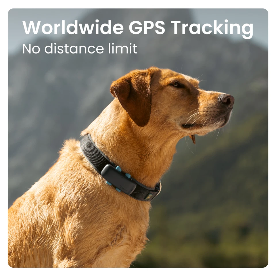 Tractive DOG 4 GPS Dog Collar | Refurbished | Blue | Trusted by Ben Fogle - Image 3 of 4