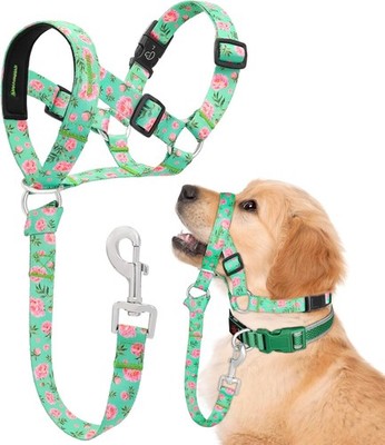 No-Pull Padded Dog Head Collar Adjustable Gentle Lead Halter Safety Link for Dog