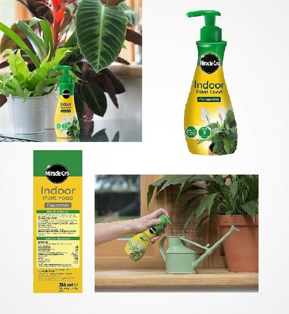Miracle Gro 100056 Indoor Plant Food Concentrate 236ml