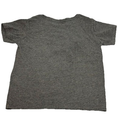 Patagonia Pataloha Honolulu T-Shirt Gray Hawaii Palm Graphic Youth