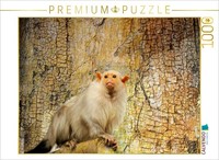Calvendo Puzzle Silver Monkey | 1000 Pieces, Finished Size 25.2 × 18.9 In (64 ×