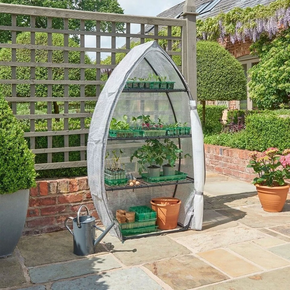 Westland Gro-Sure Visiroot 12 Tray Growhouse Greenhouse