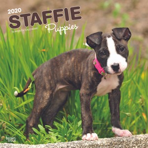 trading post staffy