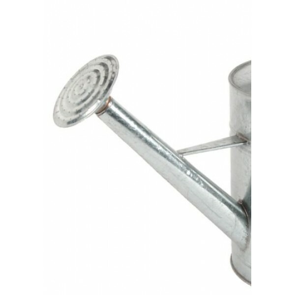 Galvanised Steel Watering Can Rose Screw Head for sale online eBay